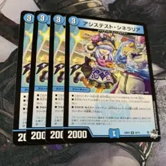 アシステストシネラリア