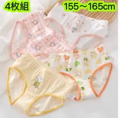 4枚組女の子ショーツ155-165 女児綿キッズ下着 子供ジュニア 小学生パンツ