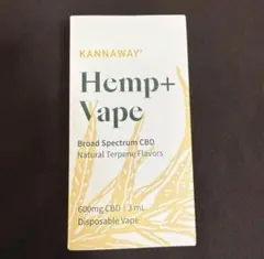 2025年最新】kannaway vapeの人気アイテム - メルカリ