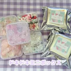 『391番』【届くまでのお楽しみ】ドキドキミニボックス【ランダム】