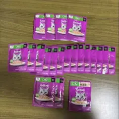 Item thumbnail for item b7c5c9a6-6523-4384-baaa-1ba490e20288