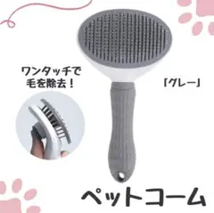 Item thumbnail for item 918b531b-54bf-4a22-9a22-33c3e454de78