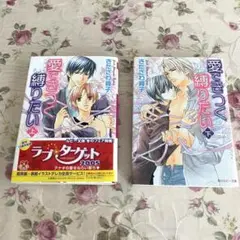 BL 愛できつく縛りたい 上下巻 きたざわ尋子 角川ルビー文庫
