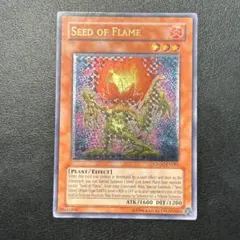 遊戯王カード 英語版 シードオブフレイム CSOC レリーフ アルティメットレア