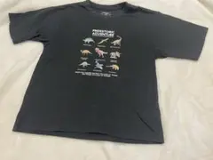 グローバルワーク　キッズ　Tシャツ　黒T 恐竜　140cm