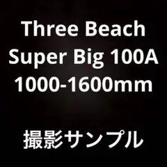 サンプル画像