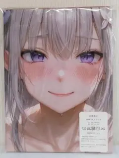[未開封品] エミリア Re:ゼロ 抱き枕カバー