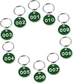 Item thumbnail for item deeebfc8-3b02-43cd-bff5-5bae92674e6b