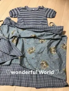 ワンダフルワールド⭐︎スモッキング刺繍ワンピースとタブリエ⭐︎ピンクハウス⭐︎