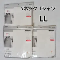 LL カットオフ グンゼ メンズ Vネック 半袖 Tシャツ 3枚