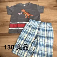 恐竜Tシャツとチェックショートパンツセット130
