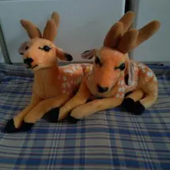 Item thumbnail for item c4673640-8a74-4d03-9473-47be57b2a2ab