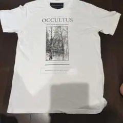 DAVID LINDWALL ディビット リンドウォール　ビンテージTシャツ