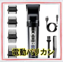 Item thumbnail for item 40aa5ecf-c702-450f-83fa-26b5066306cc