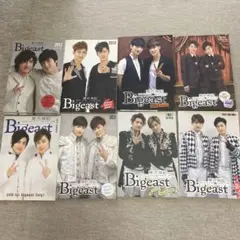 ビギスト会報2012〜2015