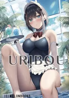 ともー うりぼうざっか Wスエードタペストリー