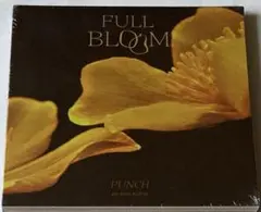 PUNCH HULL BLOOM CD 未開封