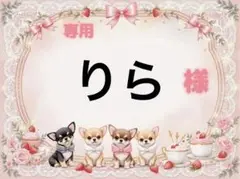専用