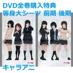 抱き枕カバー・シーツ　七咲逢＆絢辻詞＆桜井梨穂子 ベッドシーツB 「Bluray/DVD アマガミSS」 キャラアニ後期全巻購入特典 amagami-14.jpg
