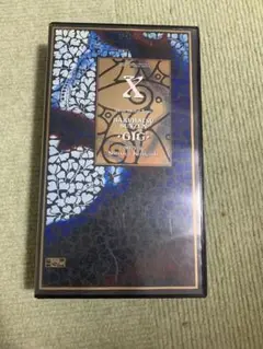 X JAPAN BLUE BLOOD TOUR爆発寸前GIG VHS