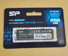 SP P34A60 256GB M.2 SSD