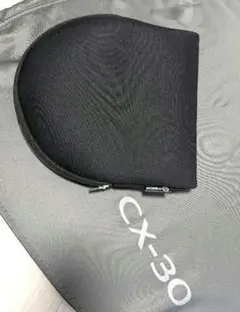 Item thumbnail for item 70f18b98-163e-45d8-bcaf-6350df535ea2