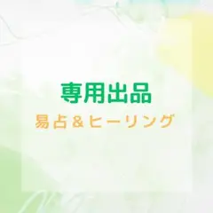専用出品です