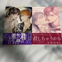 【初版】BL コミック　2冊まとめ売り