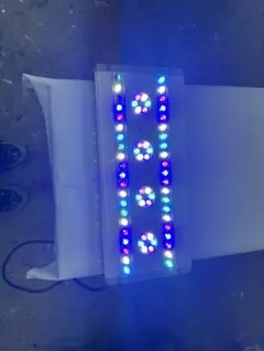 2025年最新】spectra スペクトラ sp200の人気アイテム - メルカリ