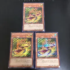最安値！　SRベイゴマックス　シークレット　3枚