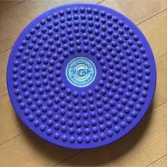 バランスクッション パープル 円形