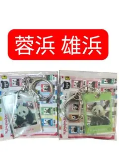 蓉浜 雄浜 アドベンチャーワールド限定リメンバーパンダアクキーガチャ