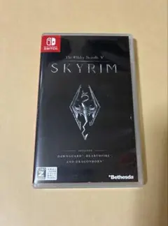 ザエルダースクロールズ5:スカイリム　skyrim