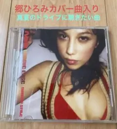 リビィン・ラ・ヴィダ・ロカなど軽快な音楽 盛り沢山！FLAVOR GROOVE…