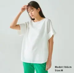 PLST 半袖シャツ