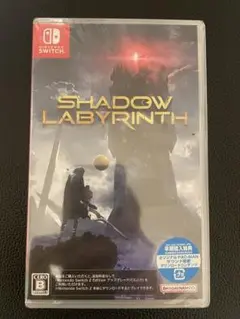 Switch スイッチ SHADOW LABYRINTH 新品、未使用
