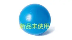バランスボール　ジムボール　TMスポーツ　青　65cm 100kg ポンプ付
