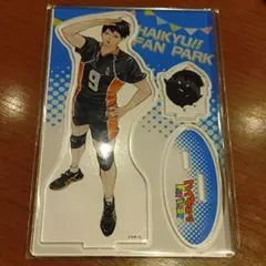 影山飛雄 ハイキュー!! アクリルフィギュア ファンパーク