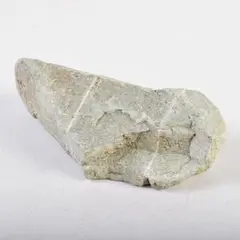 Item thumbnail for item 06692df2-5e68-447b-99c6-98908a58d34e