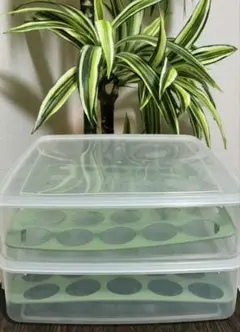 Item thumbnail for item 067be2f1-10ff-4aa6-bc01-74dbba99de1a