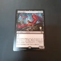 溜め込む親玉 プロモパック版 日1