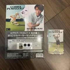 非売品 向井康二 COBRA パネル&マーカー