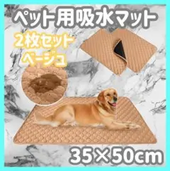 Item thumbnail for item f73f43ce-7a1a-414b-839b-b43b6b05afff
