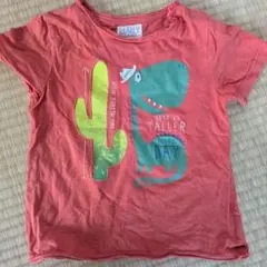 オレンジ恐竜サボテンTシャツ 4〜5歳