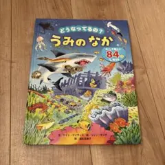 美品◼︎どうなってるの? うみのなか