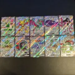 色違い SSR 10種セット