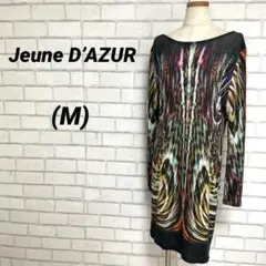 Item thumbnail for item a69cb490-dab9-426c-bbe9-e6871eaf774b