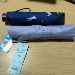 Item thumbnail for item c410a093-1c24-4ab3-8966-d815185d0e27