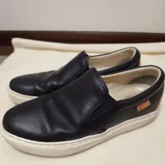 Item thumbnail for item 4a569764-343b-4dba-ac73-373541d77415