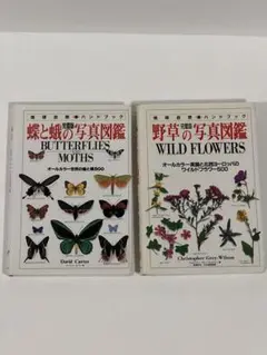蝶と蛾の写真図鑑 & 野草の写真図鑑